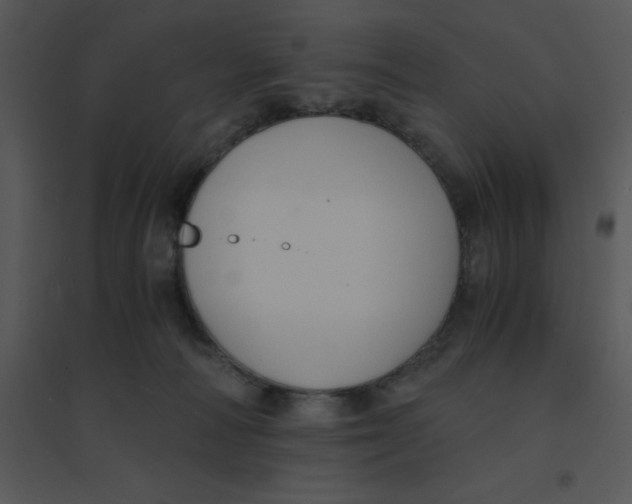 X0000095540226200801041316