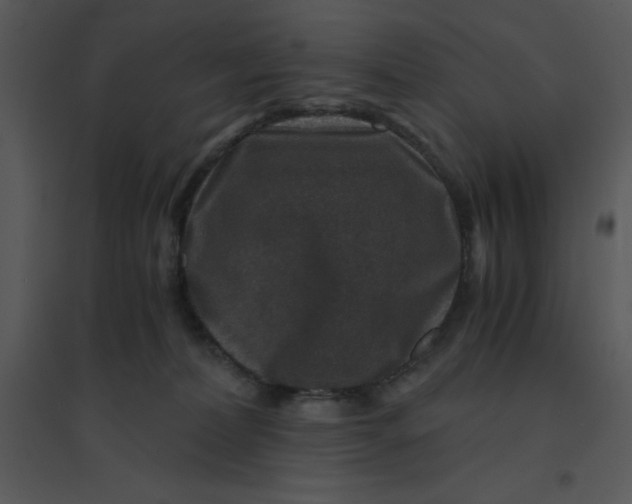 X0000095540228200801041316