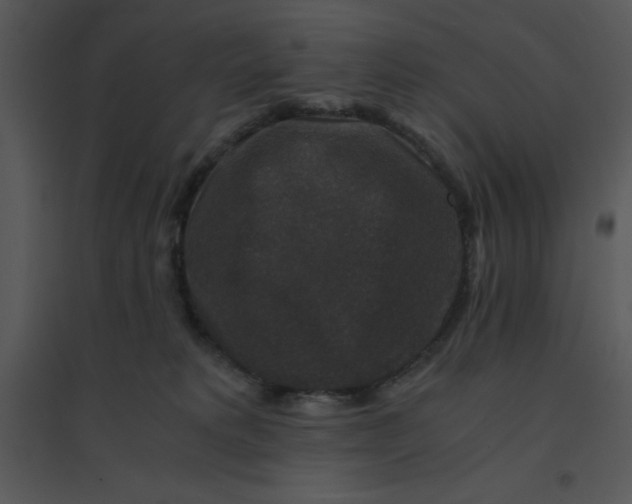 X0000095540229200801041316