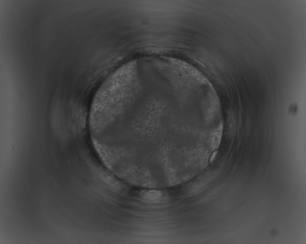 X0000095540230200801041316