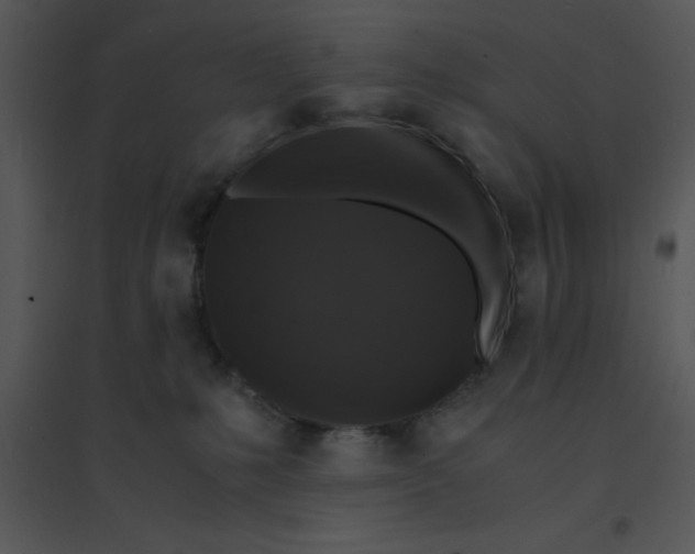 X0000095540231200801041316