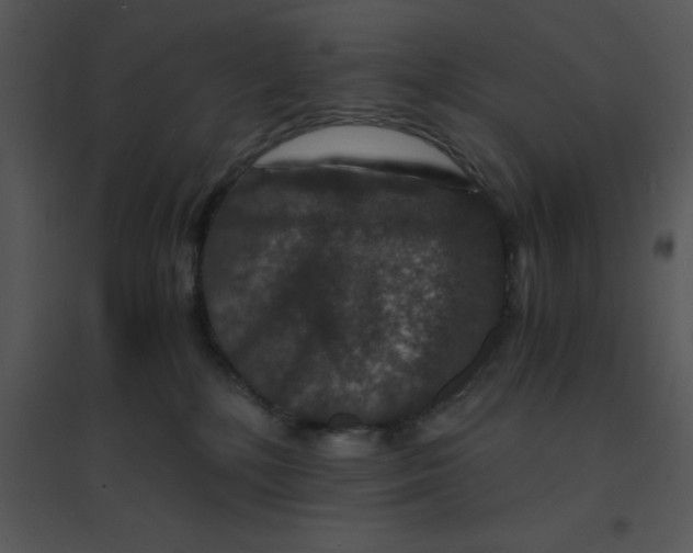 X0000095540232200801041316