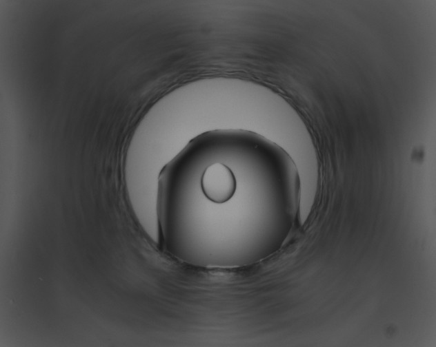 X0000095540233200801041316