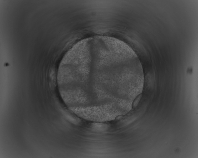 X0000095540234200801041316