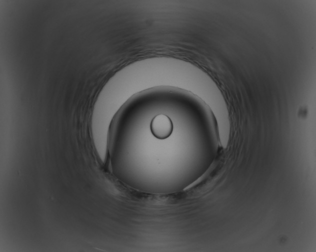 X0000095540235200801041316