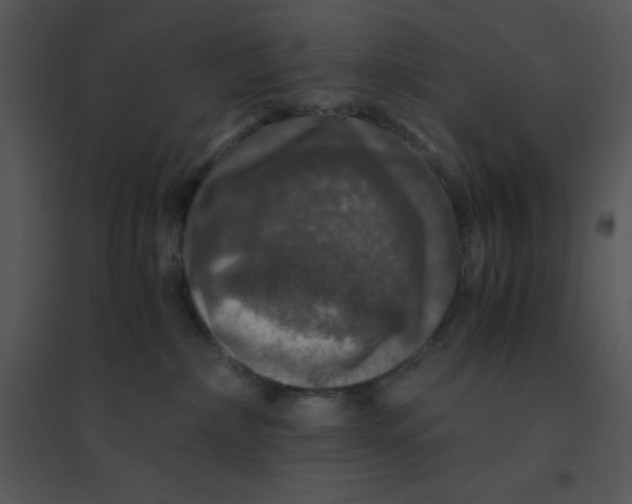 X0000095540236200801041316