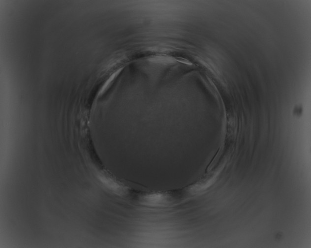 X0000095540237200801041316