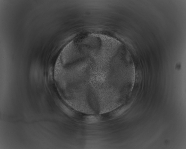 X0000095540238200801041316