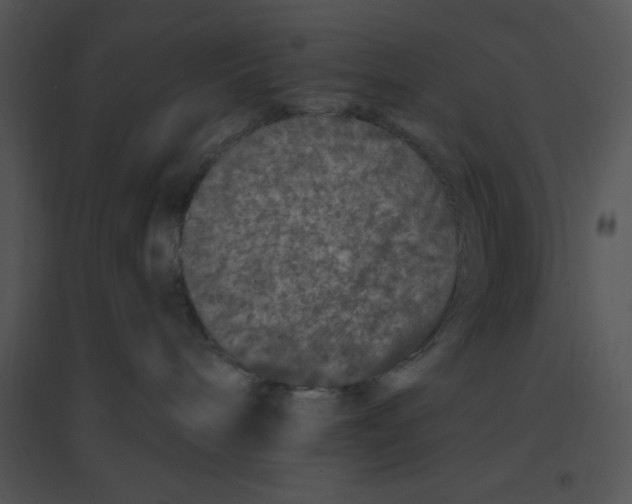 X0000095540240200801041316