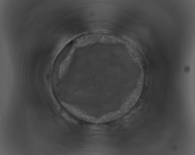 X0000095540241200801041315