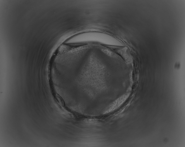 X0000095540244200801041315