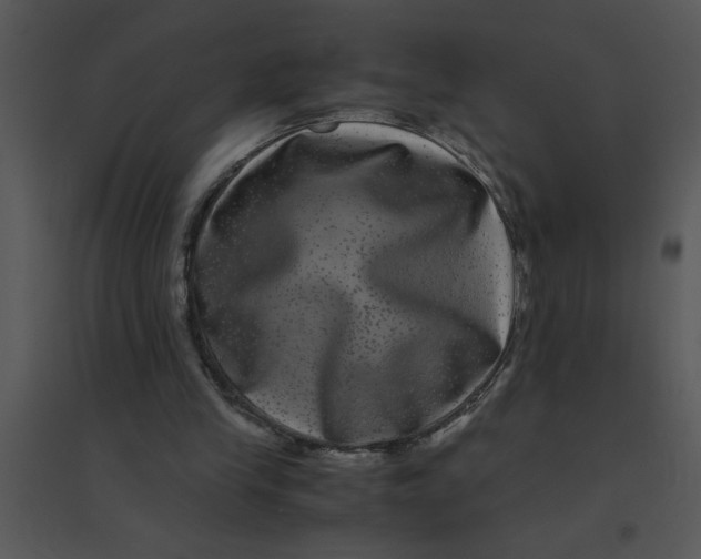 X0000095540245200801041315