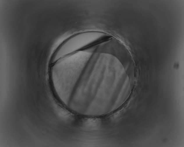 X0000095540248200801041315