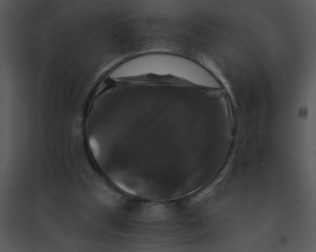 X0000095540249200801041315