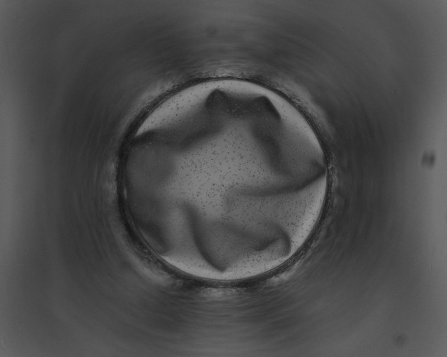 X0000095540250200801041315