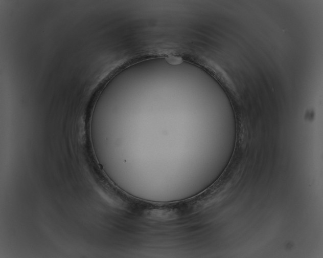 X0000095540251200801041315