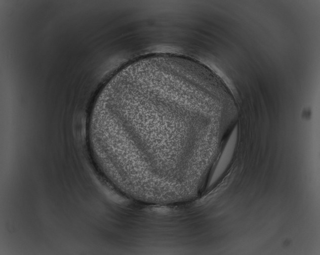 X0000095540253200801041315