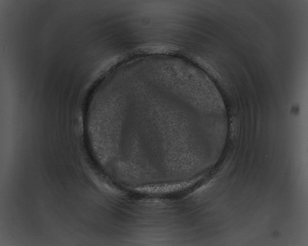 X0000095540254200801041315