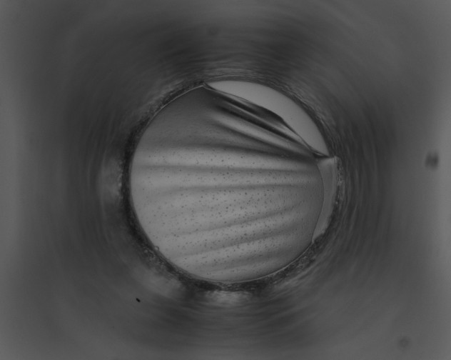 X0000095540255200801041315