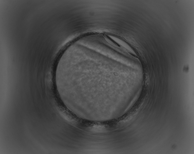 X0000095540256200801041315