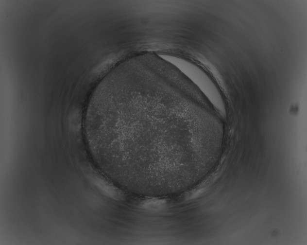 X0000095540257200801041315