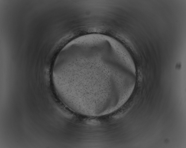 X0000095540258200801041315