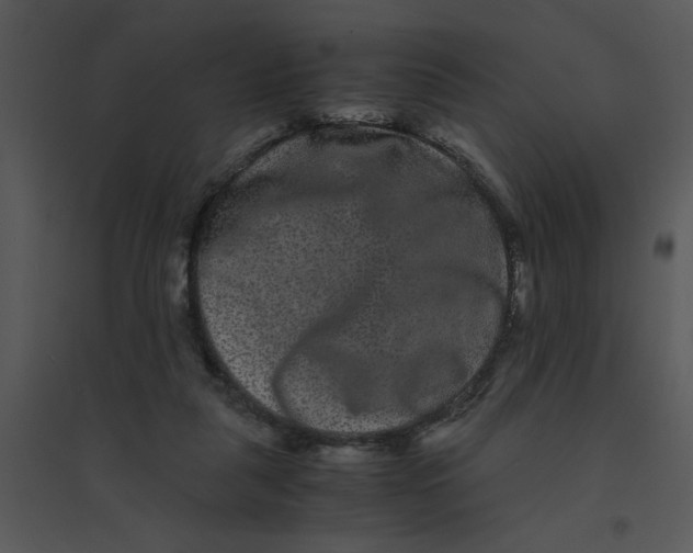 X0000095540259200801041315