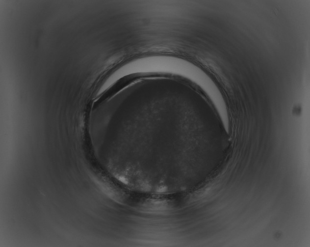 X0000095540260200801041315