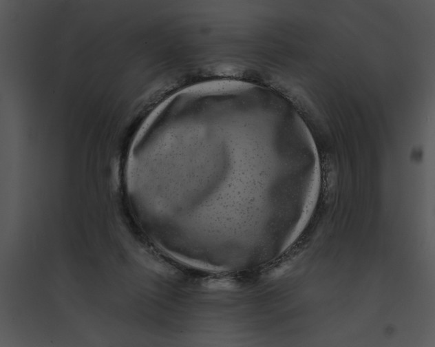 X0000095540262200801041315