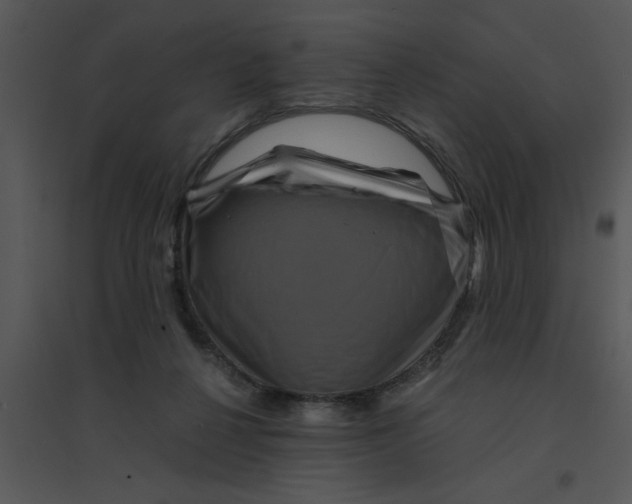 X0000095540264200801041315