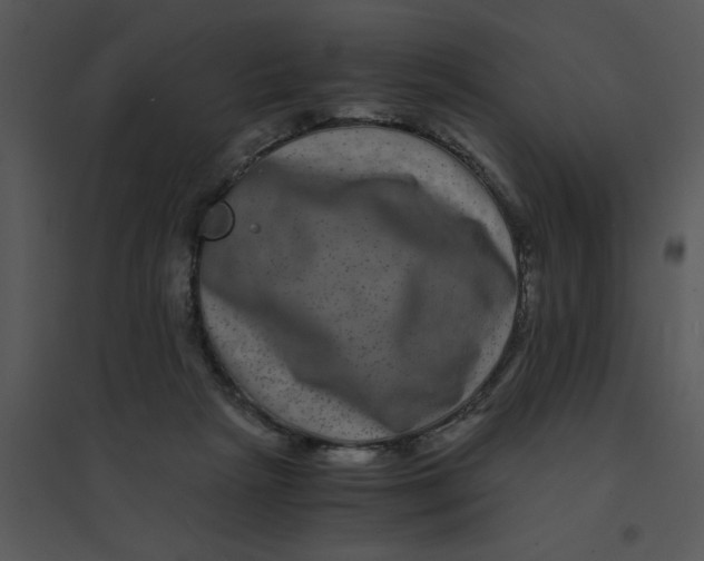 X0000095540265200801041316