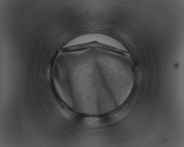 X0000095540266200801041316