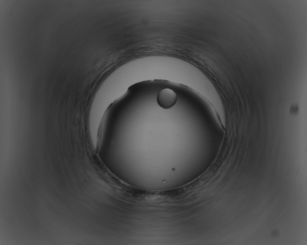 X0000095540268200801041316