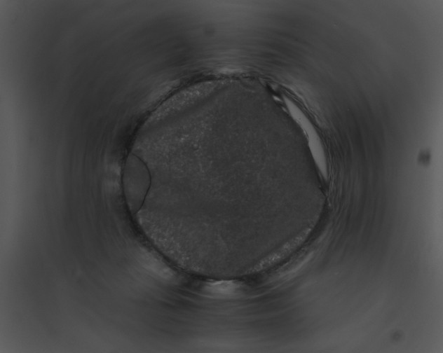 X0000095540269200801041316