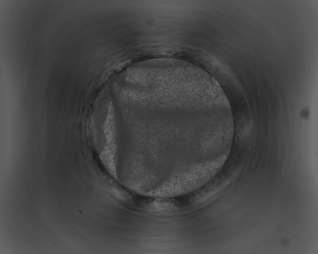 X0000095540270200801041316