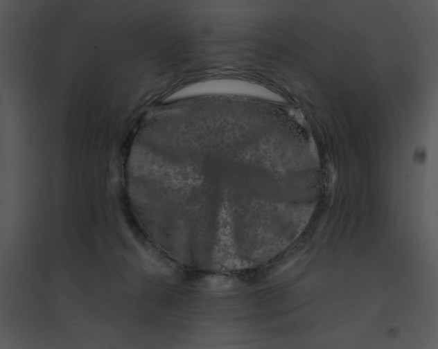 X0000095540272200801041316