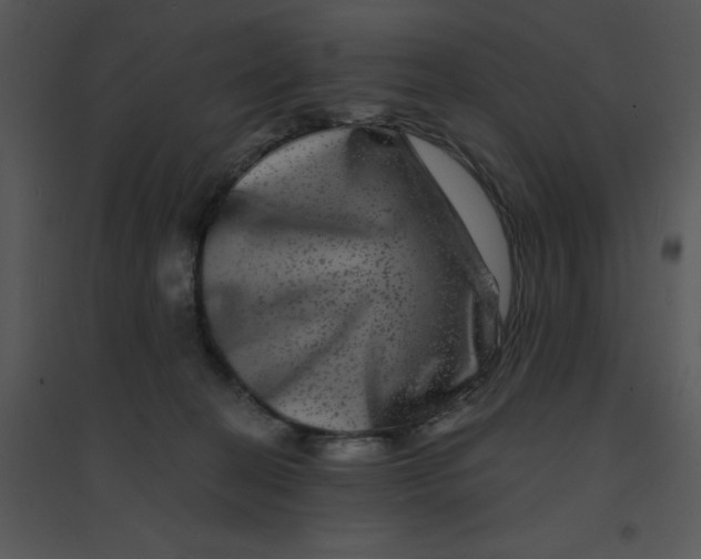 X0000095540274200801041316