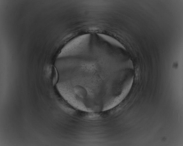 X0000095540278200801041316