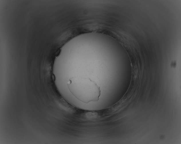 X0000095540279200801041316