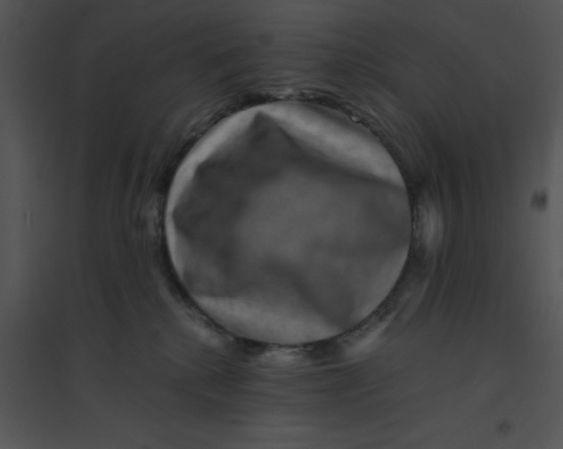 X0000095540280200801041316