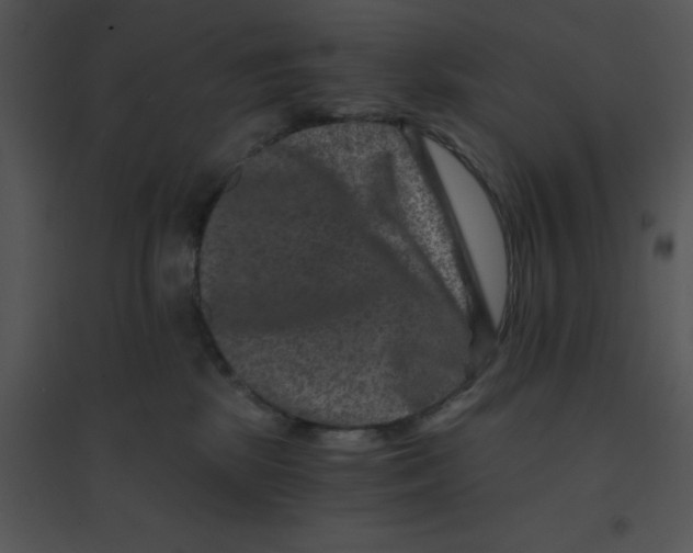 X0000095540281200801041316