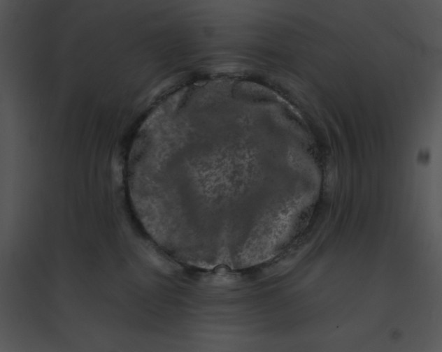 X0000095540282200801041316