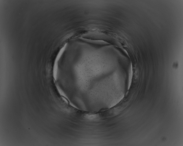 X0000095540283200801041316