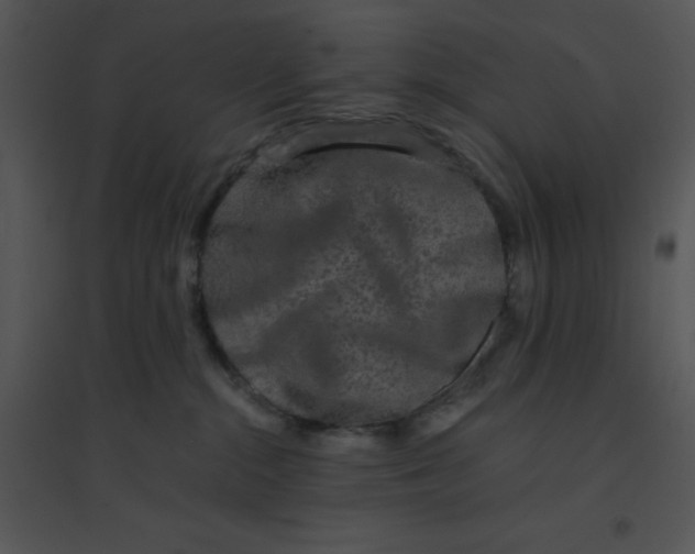 X0000095540284200801041316