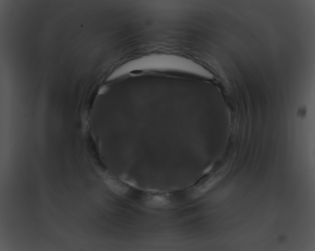 X0000095540285200801041316