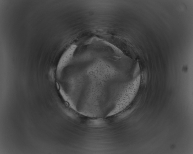 X0000095540286200801041316