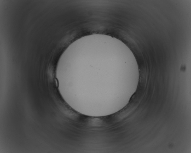 X0000095540287200801041316