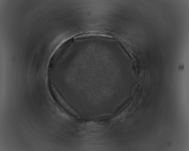 X0000095540290200801041315