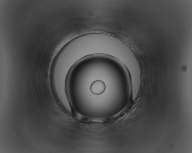 X0000095540292200801041315