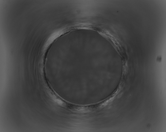 X0000095540293200801041315